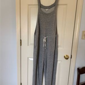 NWT American Eagle Outfitters Soft Grey Overalls